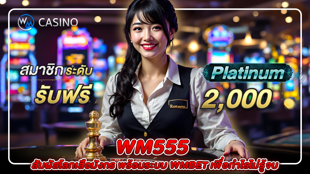 wm555: สัมผัสโลกเสือมังกร พร้อมระบบ wmbet เพื่อกำไรไม่รู้จบ